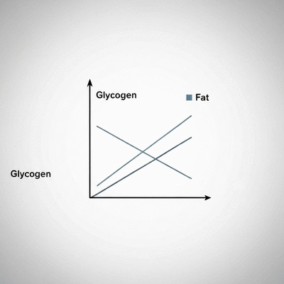 Chart illustrating metabolic shifts from glycogen to fat burning