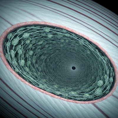Healthy meal with protein-rich foods, representing optimal protein timing for muscle preservation