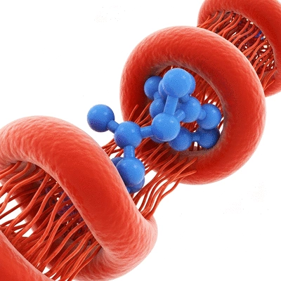 Scientific illustration of adiponectin molecule interacting with cells, clean image, no text, no words, no typography